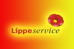 Lippe-Sevice-600x400-300x200