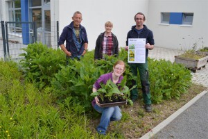 BUND-Lemgo-Bienen